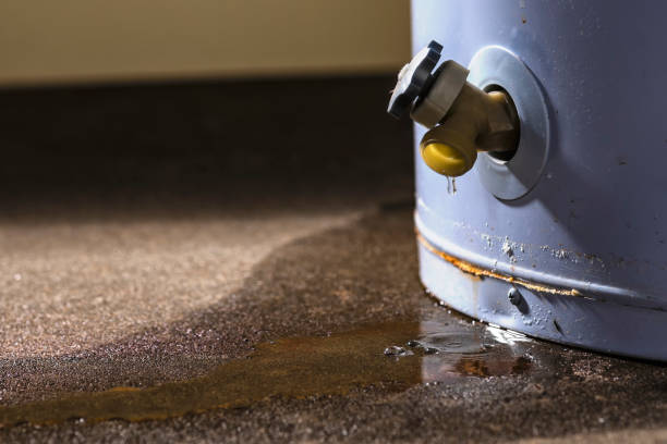 Best Local water damage restoration  in Harwood Heights, IL