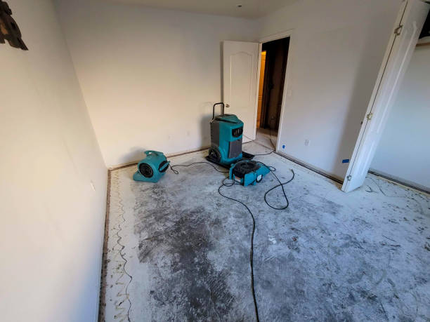 Best Basement water damage restoration  in Harwood Heights, IL