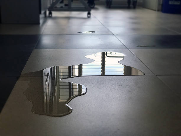 Best Water damage restoration experts  in Harwood Heights, IL