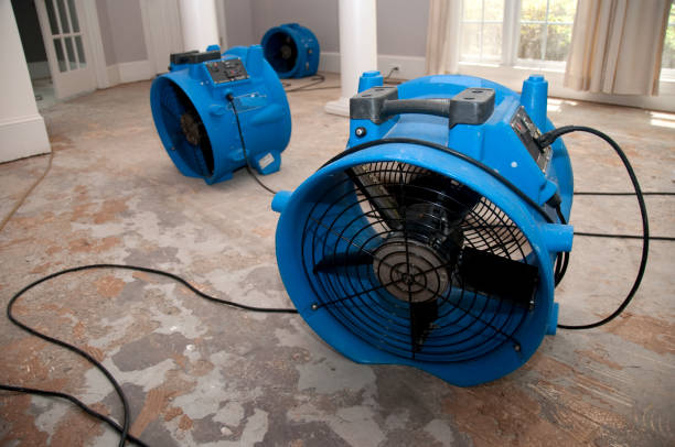 Best Water damage restoration mold remediation  in Harwood Heights, IL