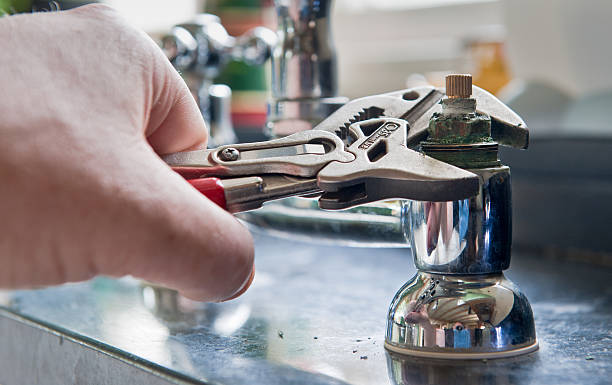 Best Flood damage cleanup  in Harwood Heights, IL