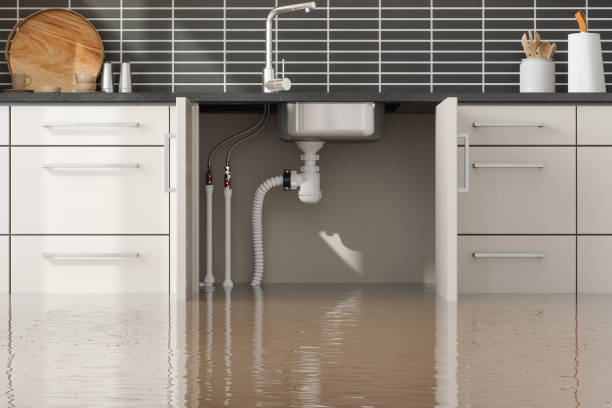 Best Residential water damage restoration  in Harwood Heights, IL