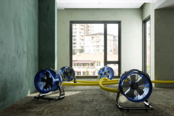  Harwood Heights, IL Water damage restoration Pros