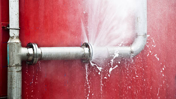 Water damage restoration mold remediation in Harwood Heights, IL